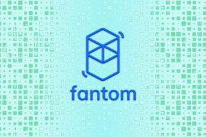 Exploring the World of Fantom Network